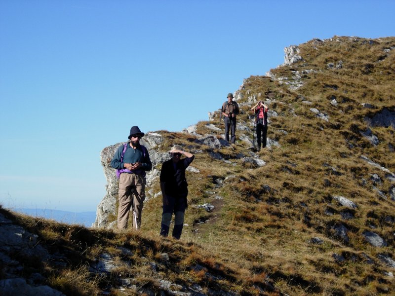 Clic ici pour voir l'image suivante