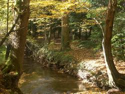 Cliquer pour agrandir l'image (1600x1200 pixels; 5625 KB)