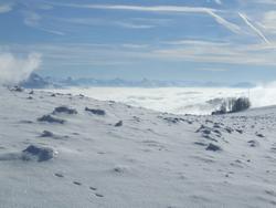 Cliquer pour agrandir l'image (2048x1536 pixels; 9216 KB)