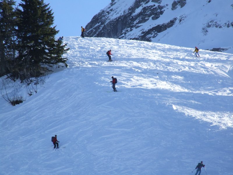 Clic ici pour voir l'image suivante