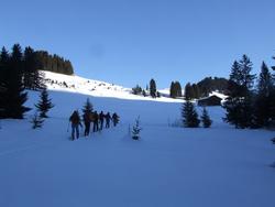 Cliquer pour agrandir l'image (800x600 pixels; 51 KB)