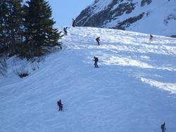 Cliquer pour agrandir l'image (800x600 pixels; 96 KB)