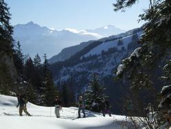 Cliquer pour agrandir l'image (1024x768 pixels; 124 KB)