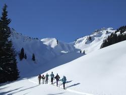 Cliquer pour agrandir l'image (1024x768 pixels; 78 KB)