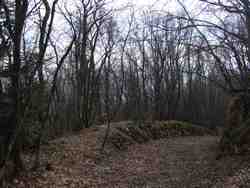 Cliquer pour agrandir l'image (1024x768 pixels; 217 KB)