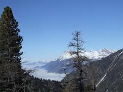 Cliquer pour agrandir l'image (800x600 pixels; 85 KB)