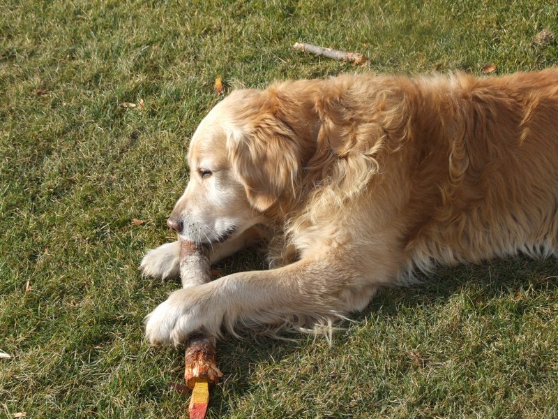 Cliquer pour voir l'image suivante