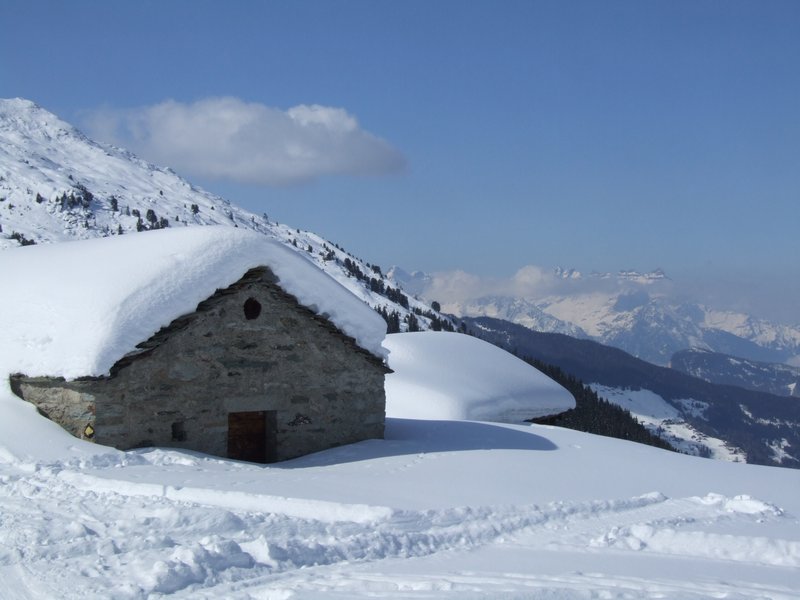 Cliquer pour voir l'image suivante