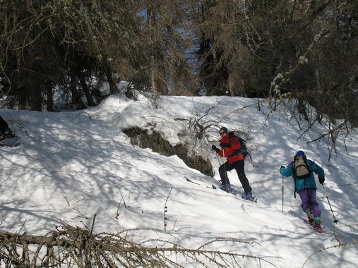 Cliquer pour voir l'image suivante