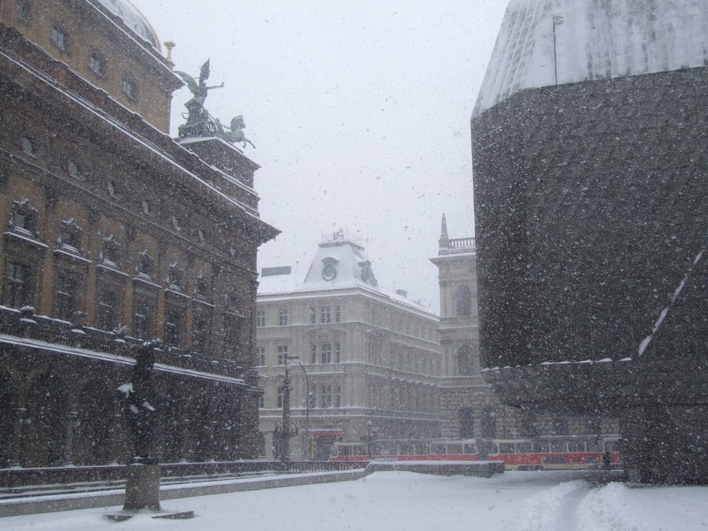 Cliquer pour voir l'image suivante