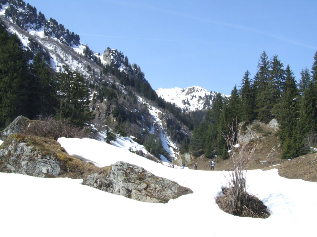 Cliquer pour voir l'image suivante