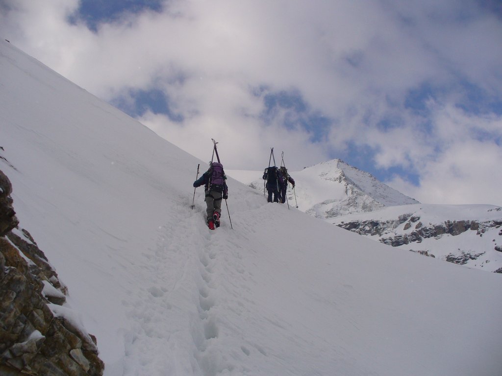 Cliquer pour voir l'image suivante