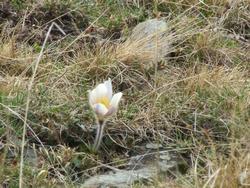 Cliquer pour agrandir l'image (1024x768 pixels; 271 KB)