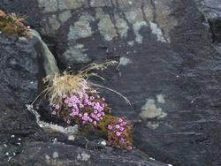 Cliquer pour agrandir l'image (1024x768 pixels; 194 KB)