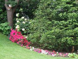 Cliquer pour agrandir l'image (2592x1944 pixels; 14762 KB)