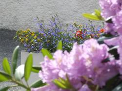 Cliquer pour agrandir l'image (2592x1944 pixels; 14762 KB)