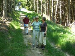 Cliquer pour agrandir l'image (1024x768 pixels; 265 KB)