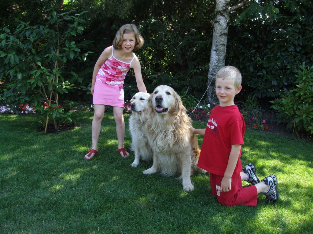 Cliquer pour voir l'image suivante