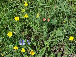 Cliquer pour agrandir l'image (1024x768 pixels; 313 KB)