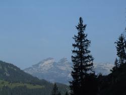 Cliquer pour agrandir l'image (1024x768 pixels; 65 KB)