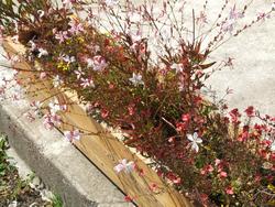 Cliquer pour agrandir l'image (1024x768 pixels; 289 KB)