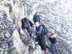 Cliquer pour agrandir l'image (1024x768 pixels; 84 KB)