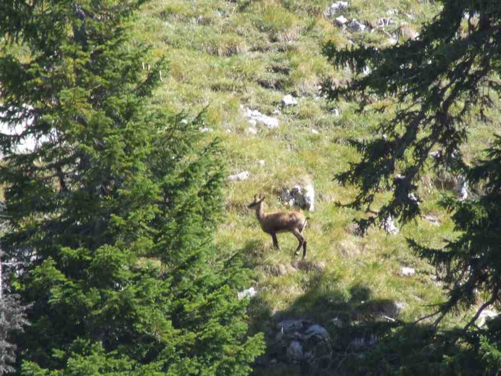 Cliquer pour voir l'image suivante