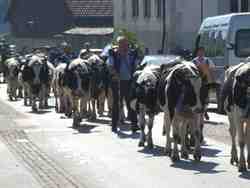 Cliquer pour agrandir l'image (2592x1944 pixels; 14762 KB)