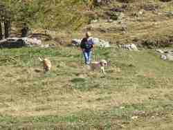 Cliquer pour agrandir l'image (1024x768 pixels; 81 KB)