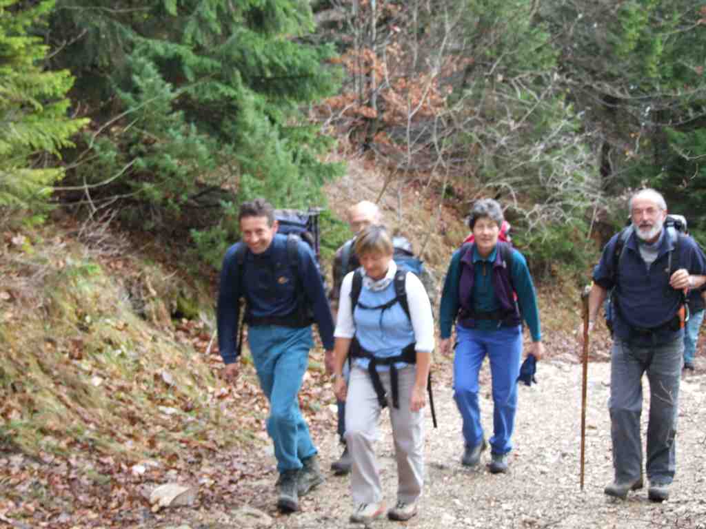 Cliquer pour voir l'image suivante