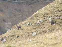 Cliquer pour agrandir l'image (1024x768 pixels; 56 KB)