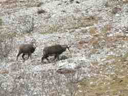 Cliquer pour agrandir l'image (1024x768 pixels; 95 KB)