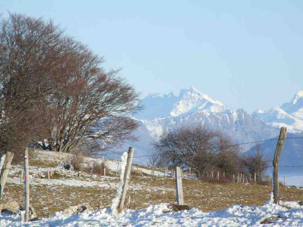 Cliquer pour voir l'image suivante