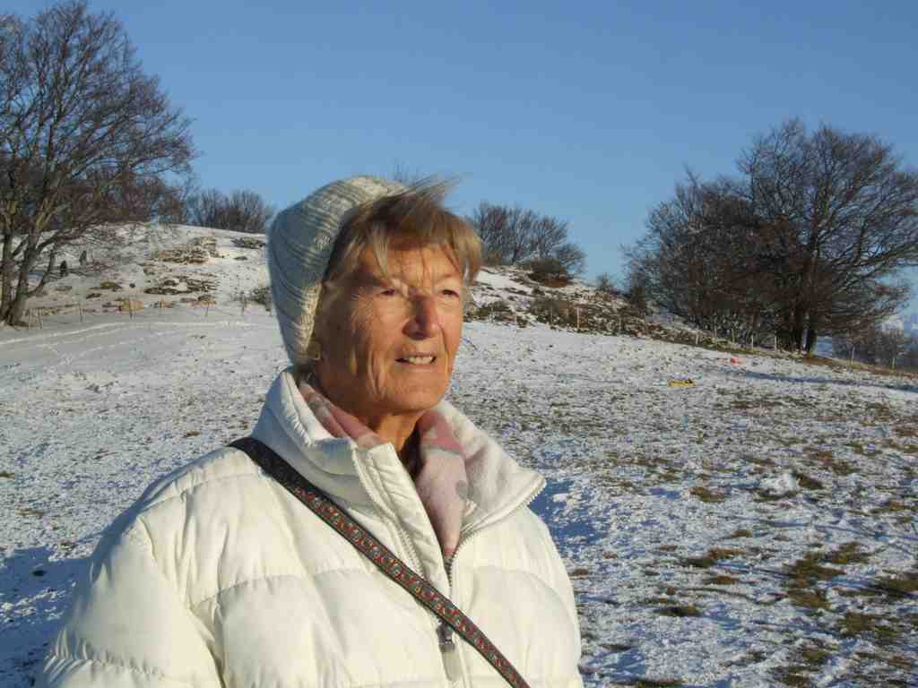 Cliquer pour voir l'image suivante