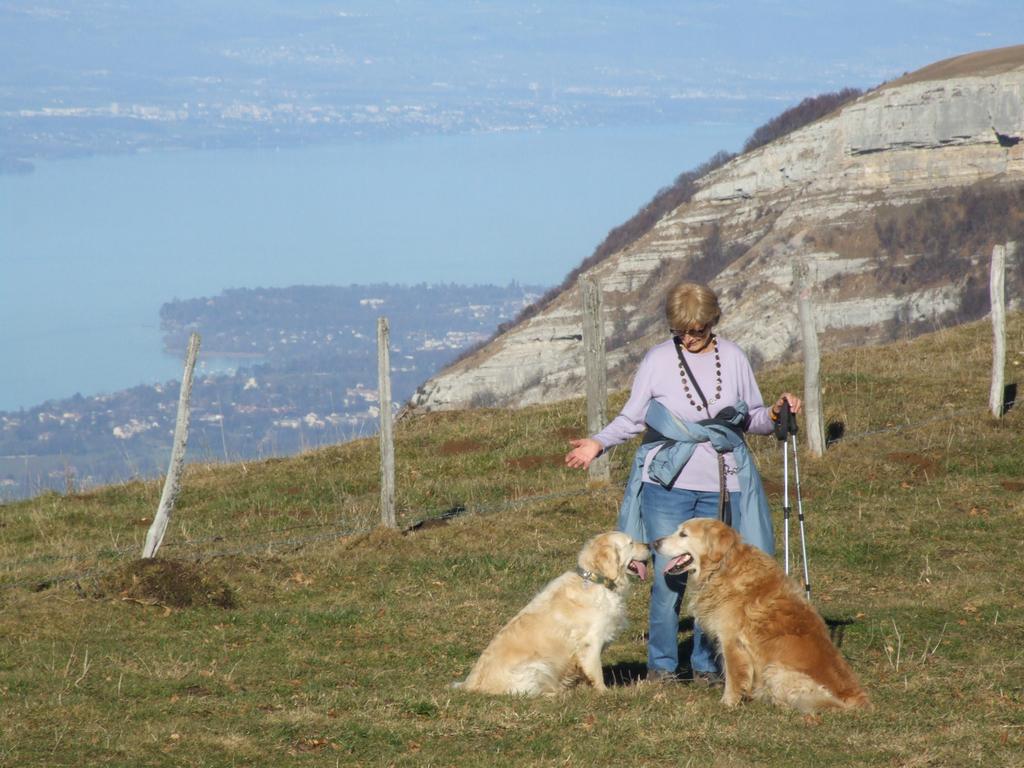 Cliquer pour voir l'image suivante