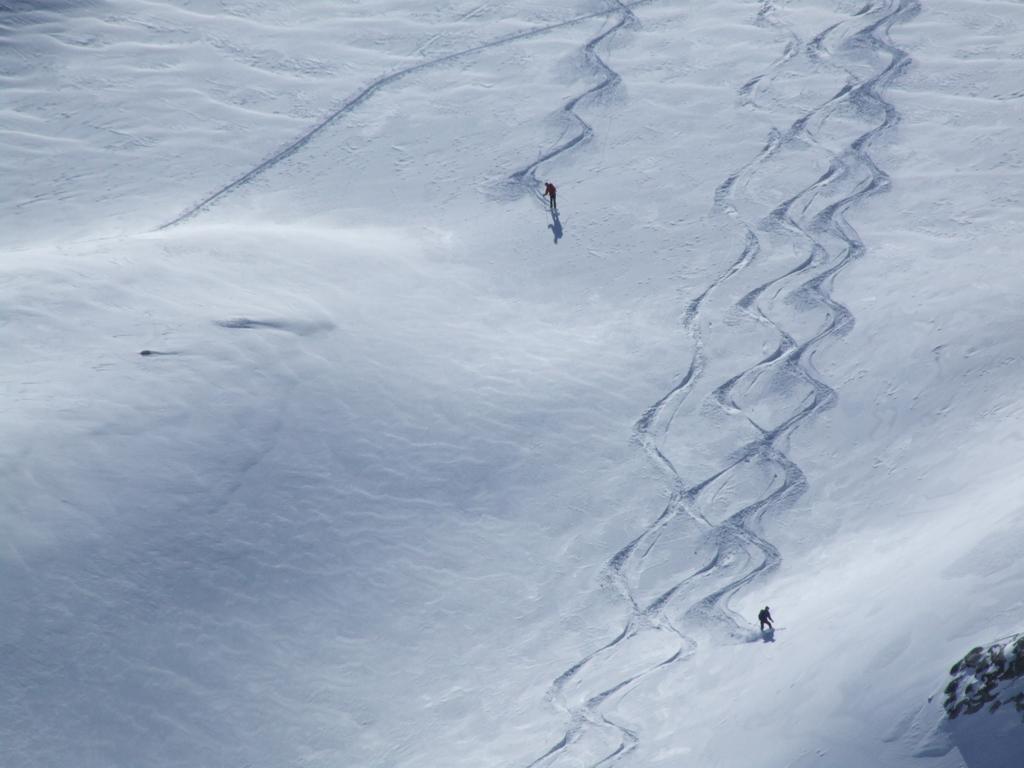 Cliquer pour voir l'image suivante