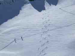 Cliquer pour agrandir l'image (1024x768 pixels; 80 KB)