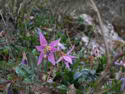 Cliquer pour agrandir l'image (2592x1944 pixels; 14762 KB)