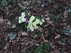 Cliquer pour agrandir l'image (2592x1944 pixels; 14762 KB)