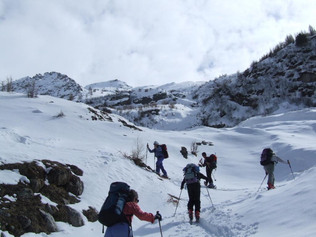 Cliquer pour voir l'image suivante