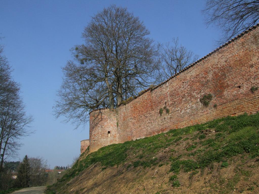 Click to see next picture