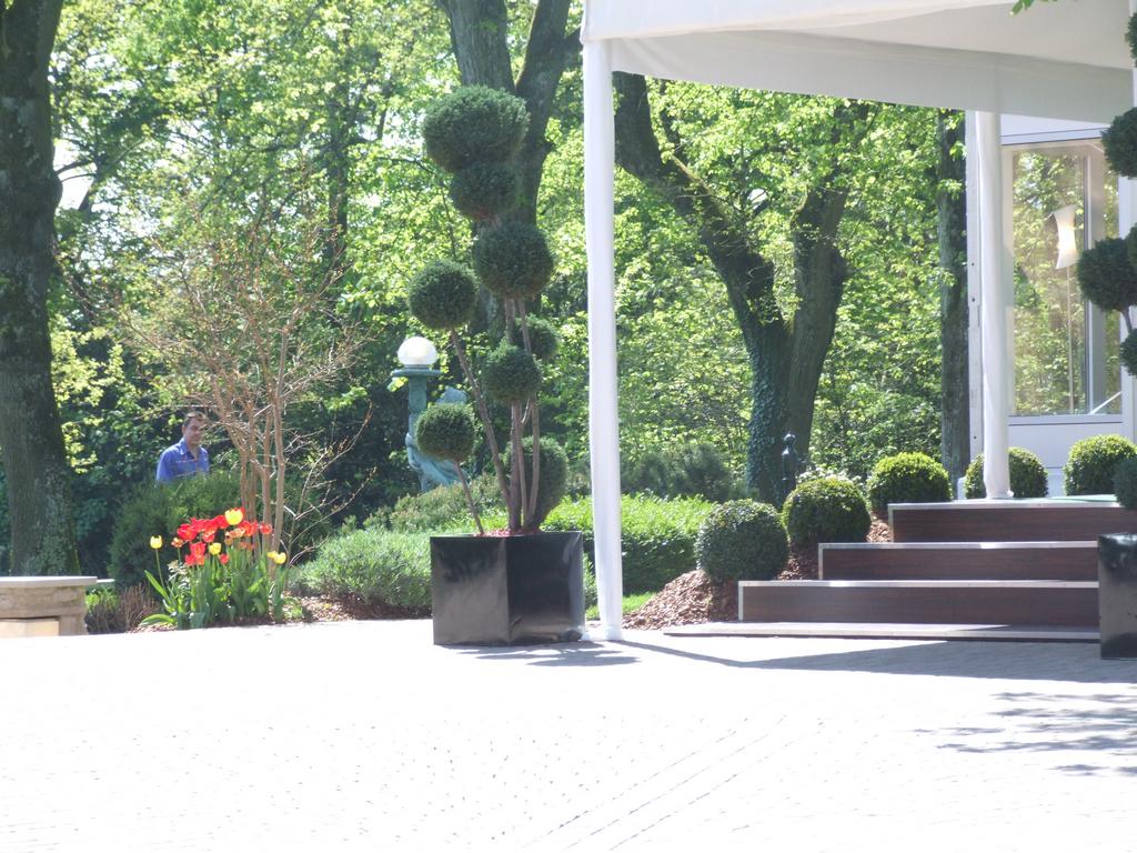 C liquer pour voir l'image suivante