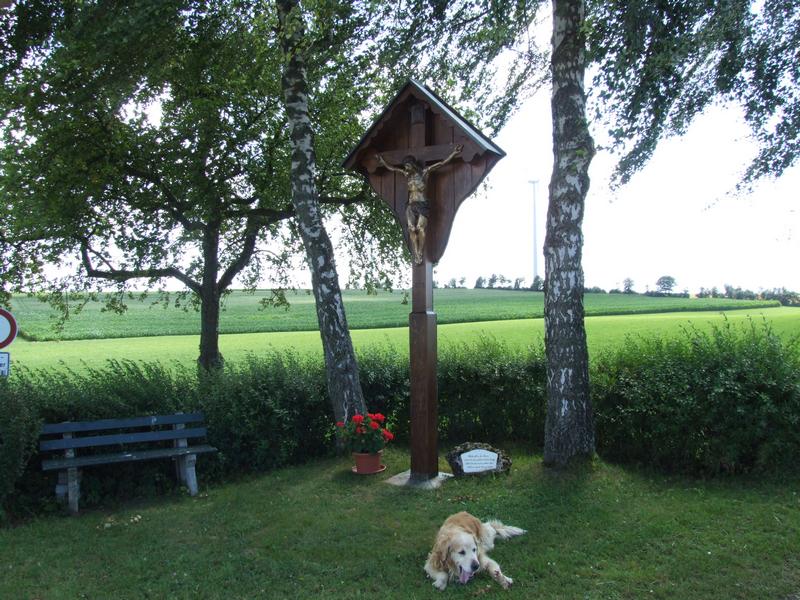 Cliquer pour voir l'image suivante