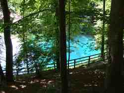 Cliquer pour agrandir l'image (800x600 pixels; 123 KB)