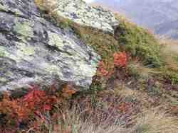 Clic pour agrandir l'mage (1024x768 pixels; 205 KB)