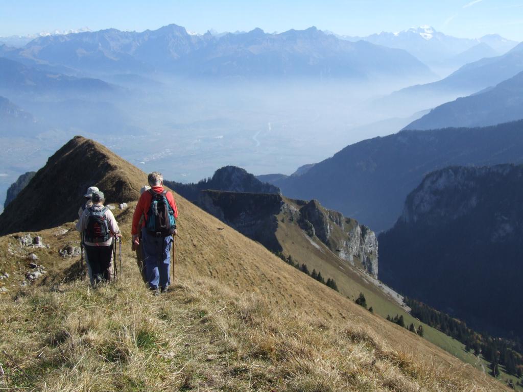 Clic pour voir l'image suivante