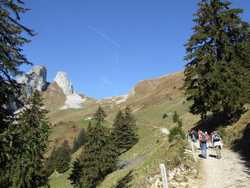 Clic pour agrandir l'�mage (1024x768 pixels; 150 KB)