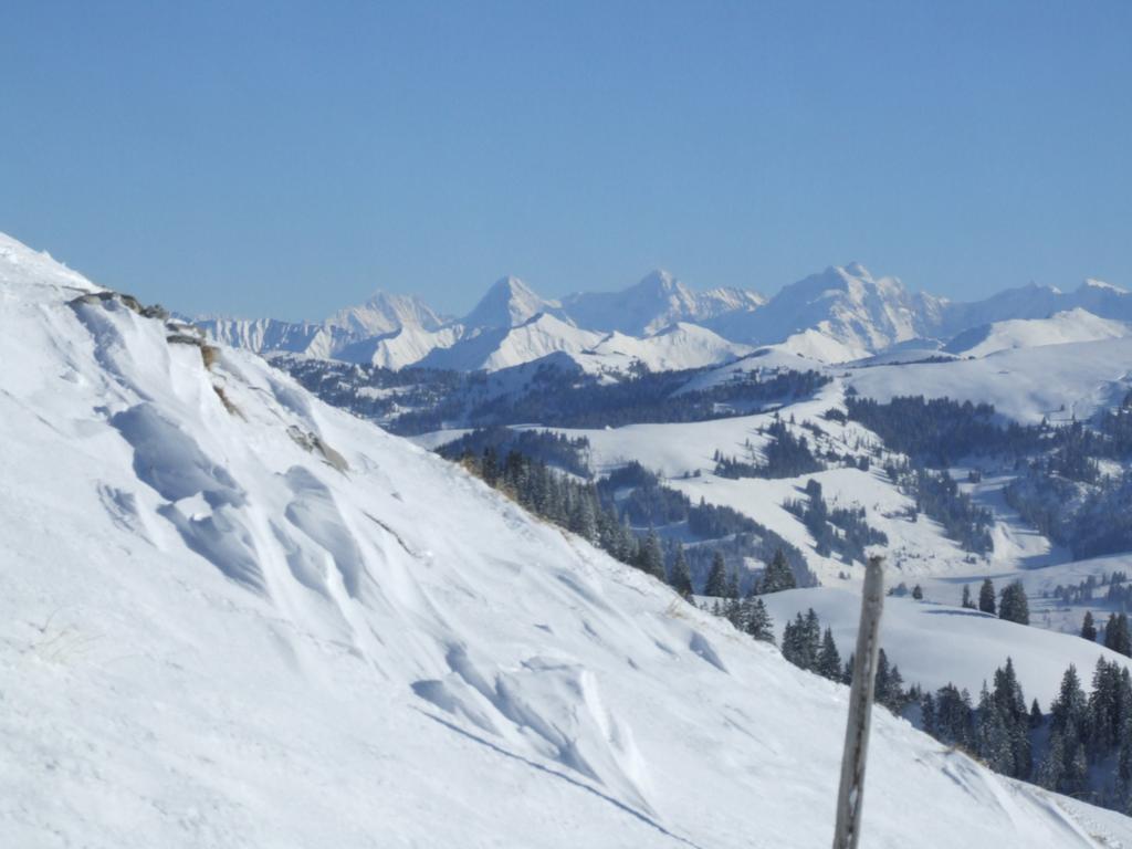 Clic pour voir l'image suivante