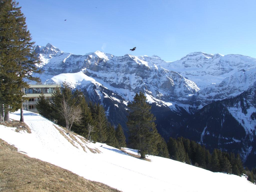 Clic pour voir l'image suivante