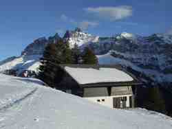 Clic pour agrandir l'�mage (1024x768 pixels; 96 KB)